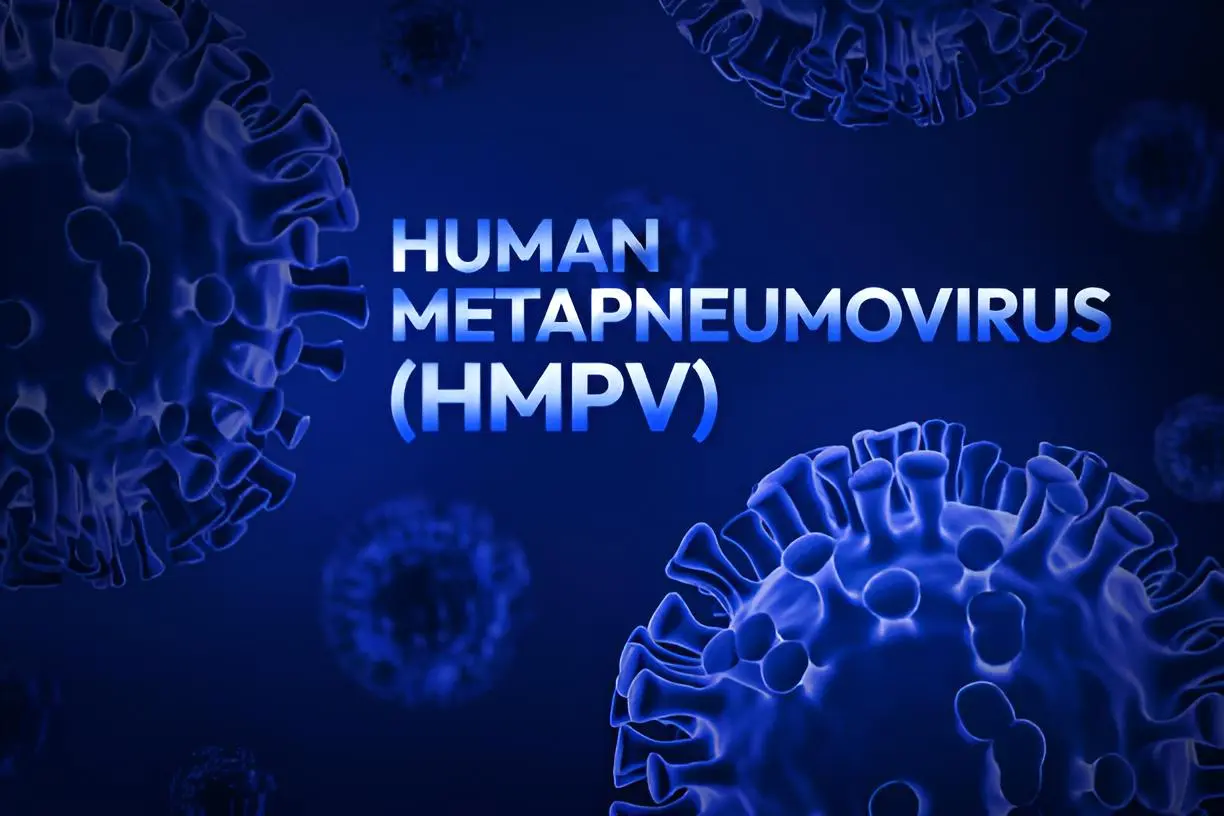 HMPV Virus Metapneumovirus Humano