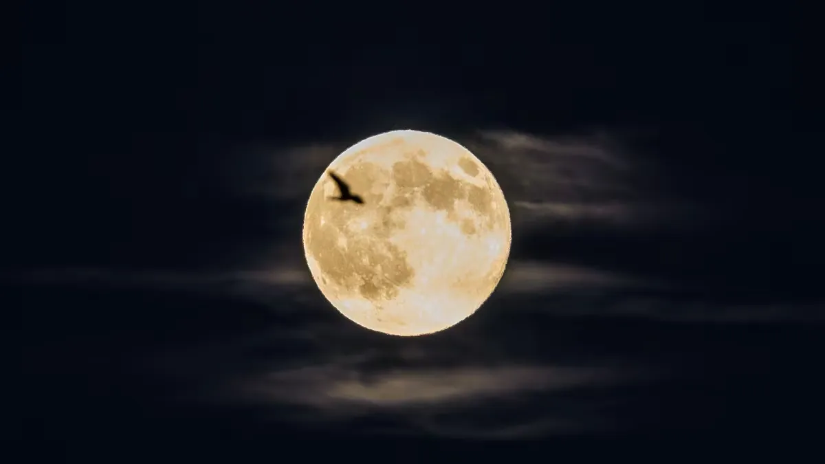 CONJUNCION ENTRE LUNA Y JUPITER convertido de avif