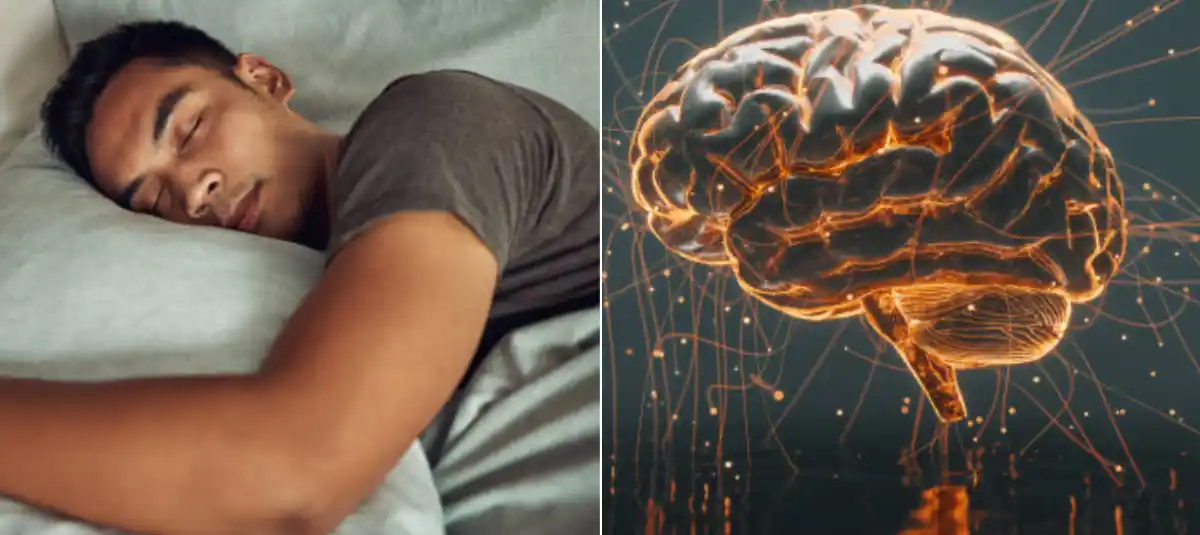 SUEÑO Y PRODUCTIVIDAD