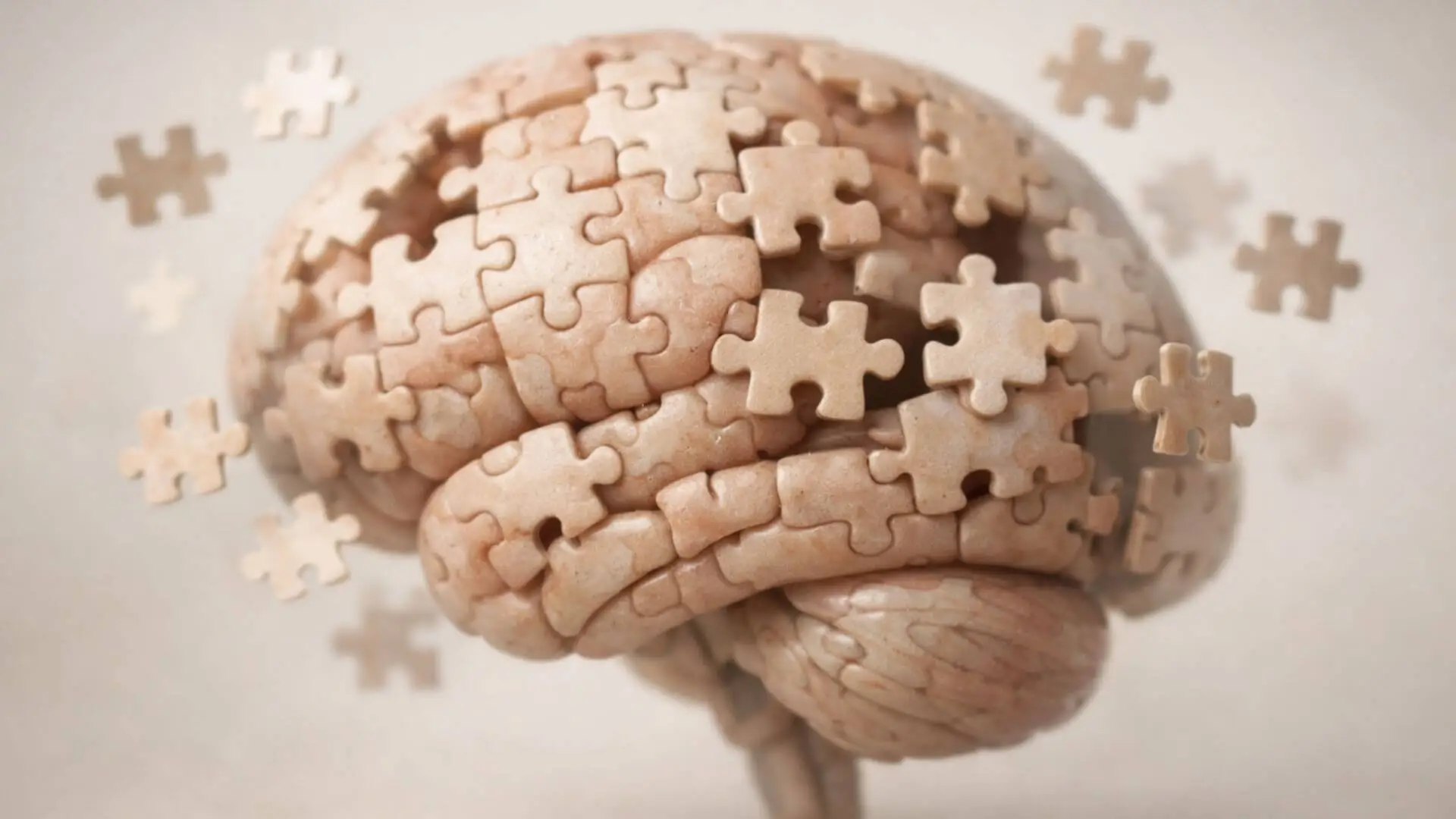 como funciona la memoria humana