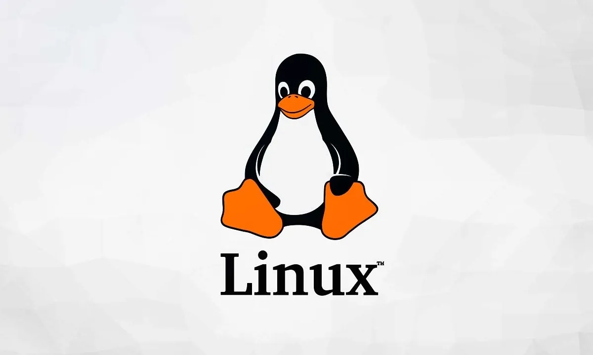 como instalar linux principantes