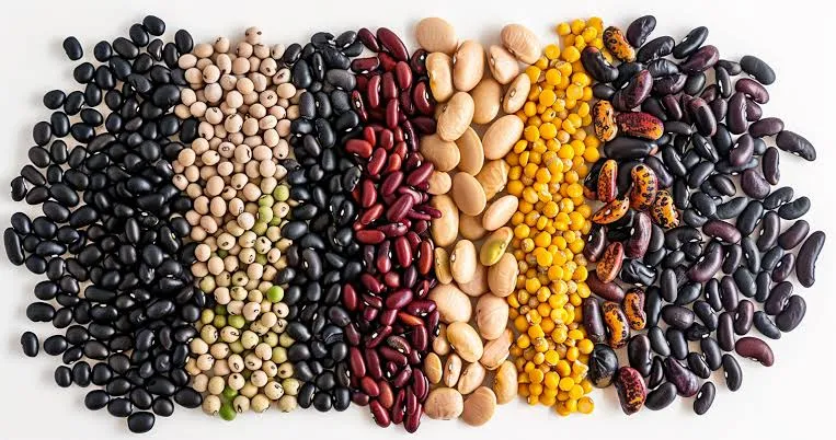 legumbres protesinas vegetales tendencias
