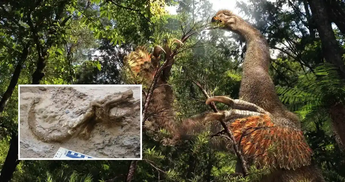 restos de dinosaurio en mongolia