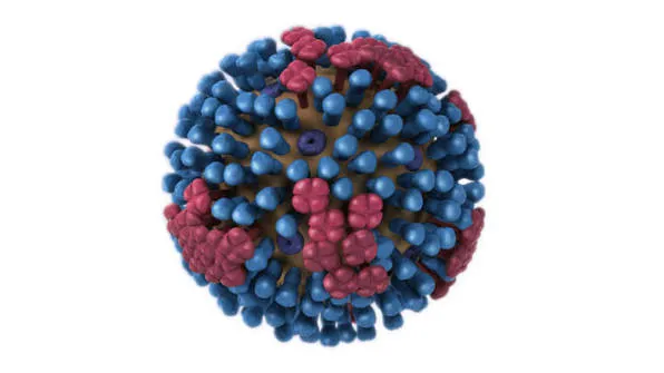 Influenza a nivel mundial qué está pasando síntomas riesgos y cómo prevenirla