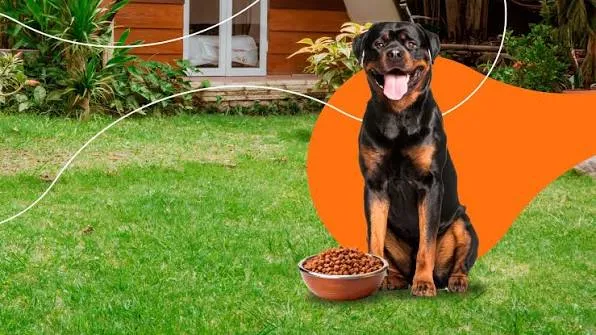 La nutrición funcional continúa impulsando el mercado de alimentos para perros y gatos