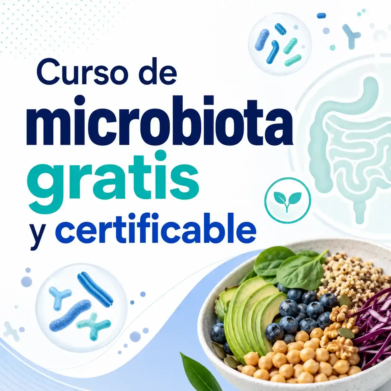 Curso de microbiota gratis y certificable