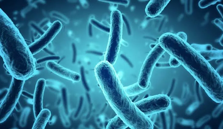 Cinco muertos y cuatro hospitalizados por un brote de bacteria carnívora según informaron las autoridades sanitarias