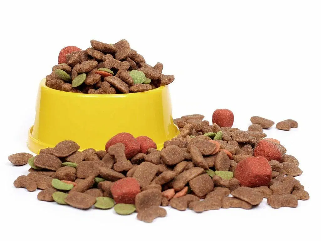 Latinoamérica se convierte en potencia del alimento para mascotas