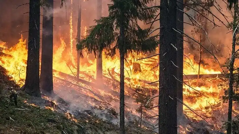 Incendios y olas de calor empiezan a convertirse en un riesgo para las finanzas de Grecia