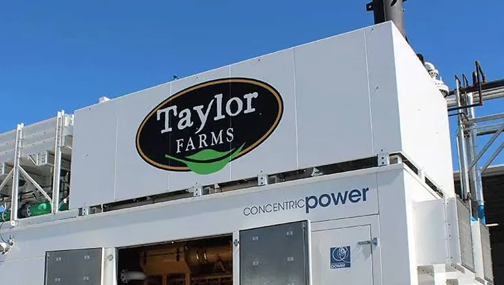 La FDA inspecciona las instalaciones de Taylor Farms como parte de su investigación sobre el brote de ciclosporiasiswebp