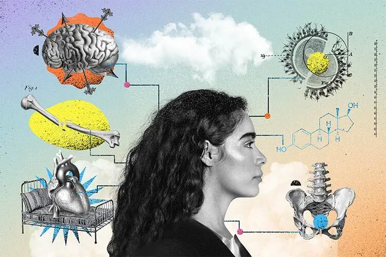 Menopausia síntomas cambios en el cuerpo y cómo vivir mejor esta etapa
