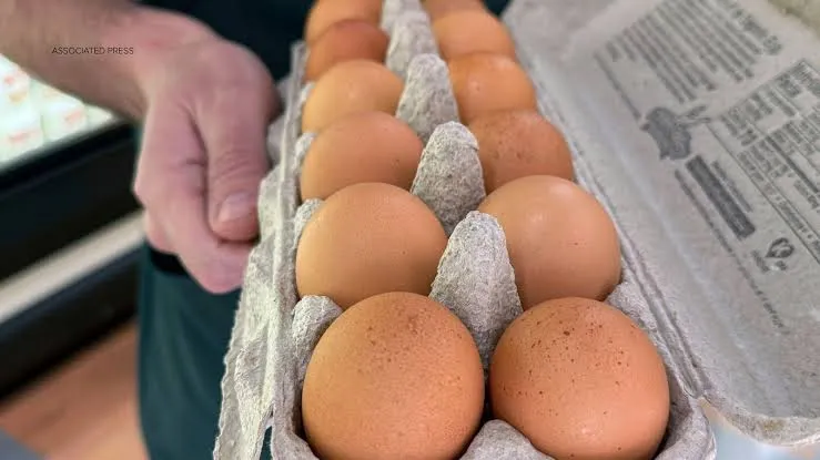 Tras un brote de salmonela se ha pedido a los hogares que revisen los huevos en busca de un símbolo específicowebp
