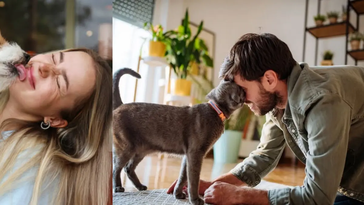 Un seguro familiar ya permite incluir perros y gatos junto con las personas