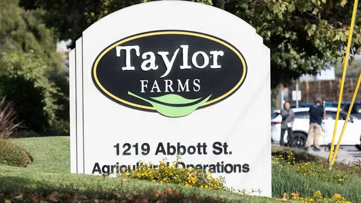Cómo Taylor Farms se convirtió en parte integral del sistema de suministro de alimentos de Estados U
