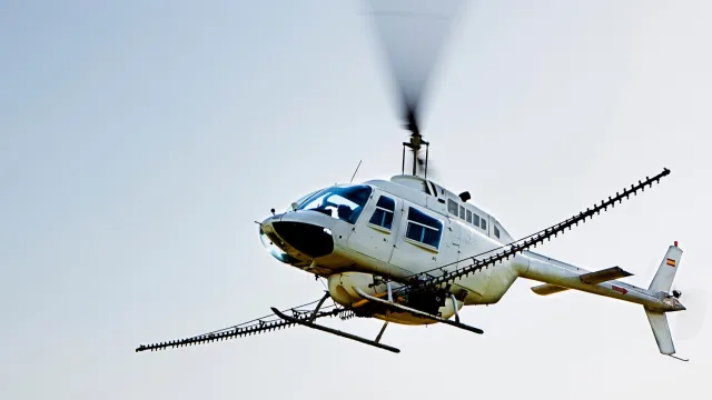Helicópteros fumigan los barrios de Tampa a medida que aumentan los casos de dengue