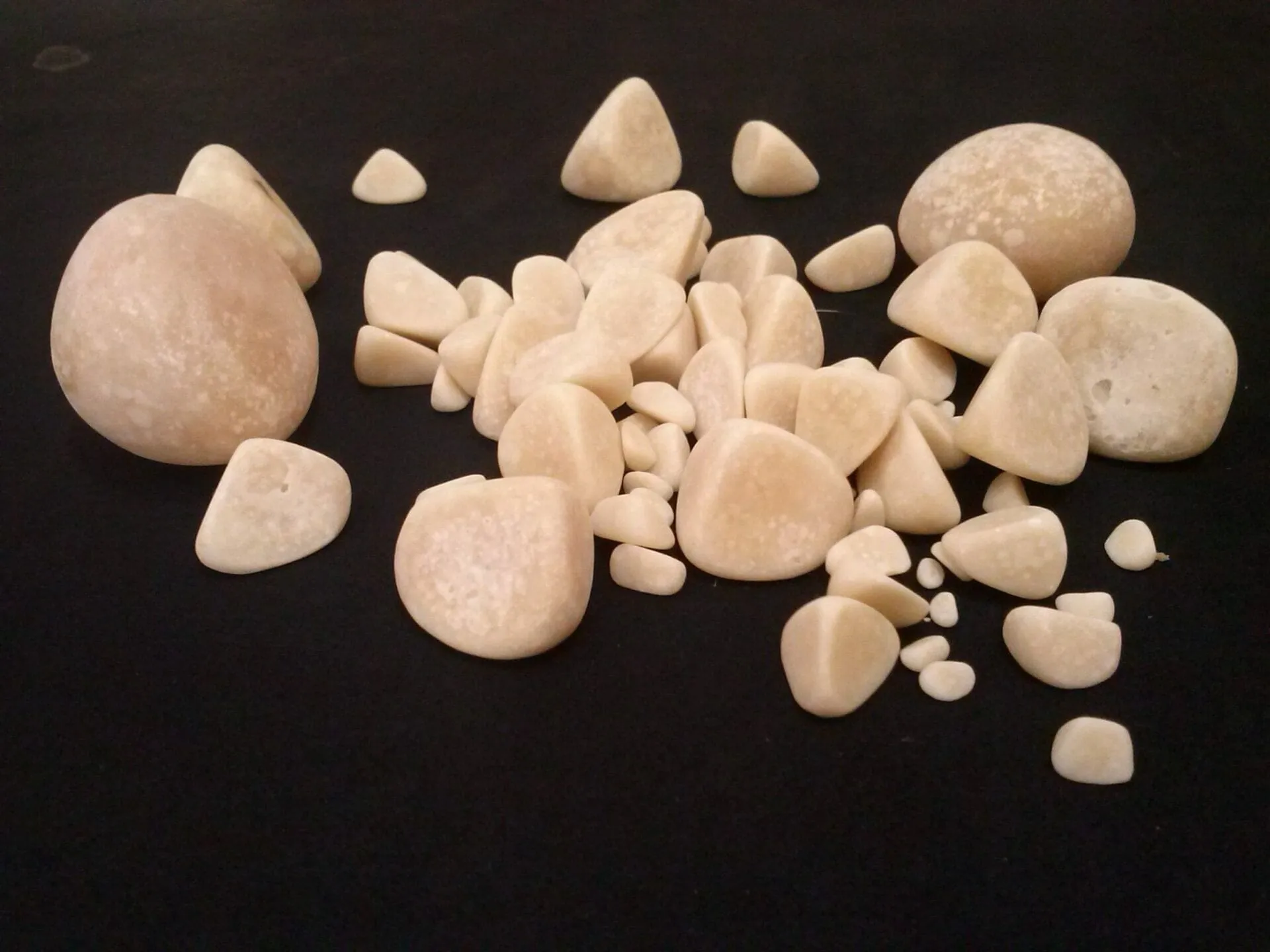 Piedras urinarias en perros pueden reaparecer hasta en 57 de los casos en solo tres años convertido de jpg