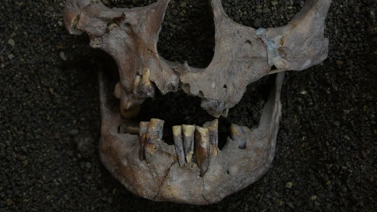 Dientes de hace 25.000 años revelan que los humanos ya consumían sustancias psicoactivas en plena Edad de Hielo