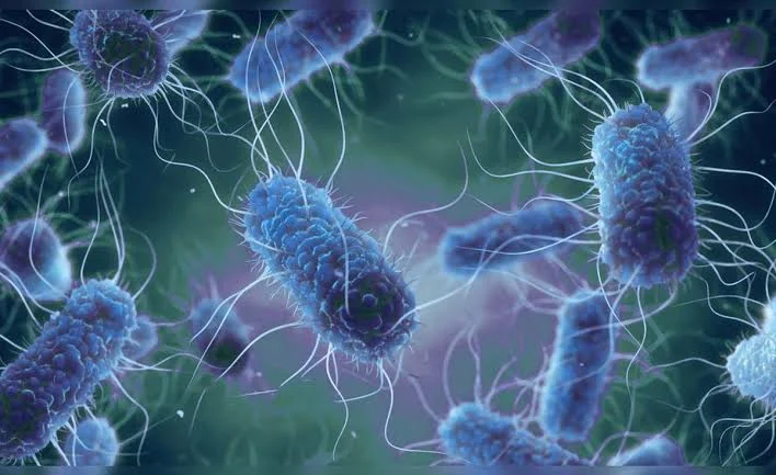 Un importante estudio revela que un antibiótico común está relacionado con un mayor riesgo de muerte en adultos