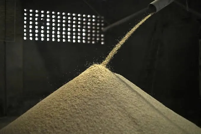 India enfrenta su mayor caída de producción de arroz en casi 20 años podrían desaparecer 10 millones de toneladas