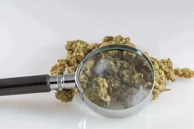 Una agencia federal explica cómo el desarrollo de los alcoholímetros para marihuana se vio impulsado por la tecnología de detección de bombas posterior al 11 S