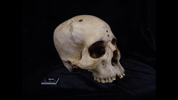 Cráneos de hace 5.000 años revelan una práctica estremecedora de los primeros faraones de Egipto