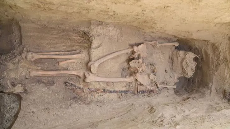 Hallan la tumba de un guerrero de hace 2.600 años con espada escudo casco y restos de una máscara de oro