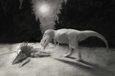 Un pequeño dinosaurio carnívoro pudo haber sido alimentado del cadáver de un temible pariente del T. rex