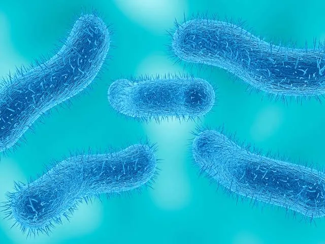 Esta infección estomacal se transmite durante las relaciones sexuales y cada vez es más resistente