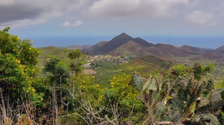 Científicos investigan una isla donde Darwin ayudó a transformar un paisaje desértico en un bosque tropical