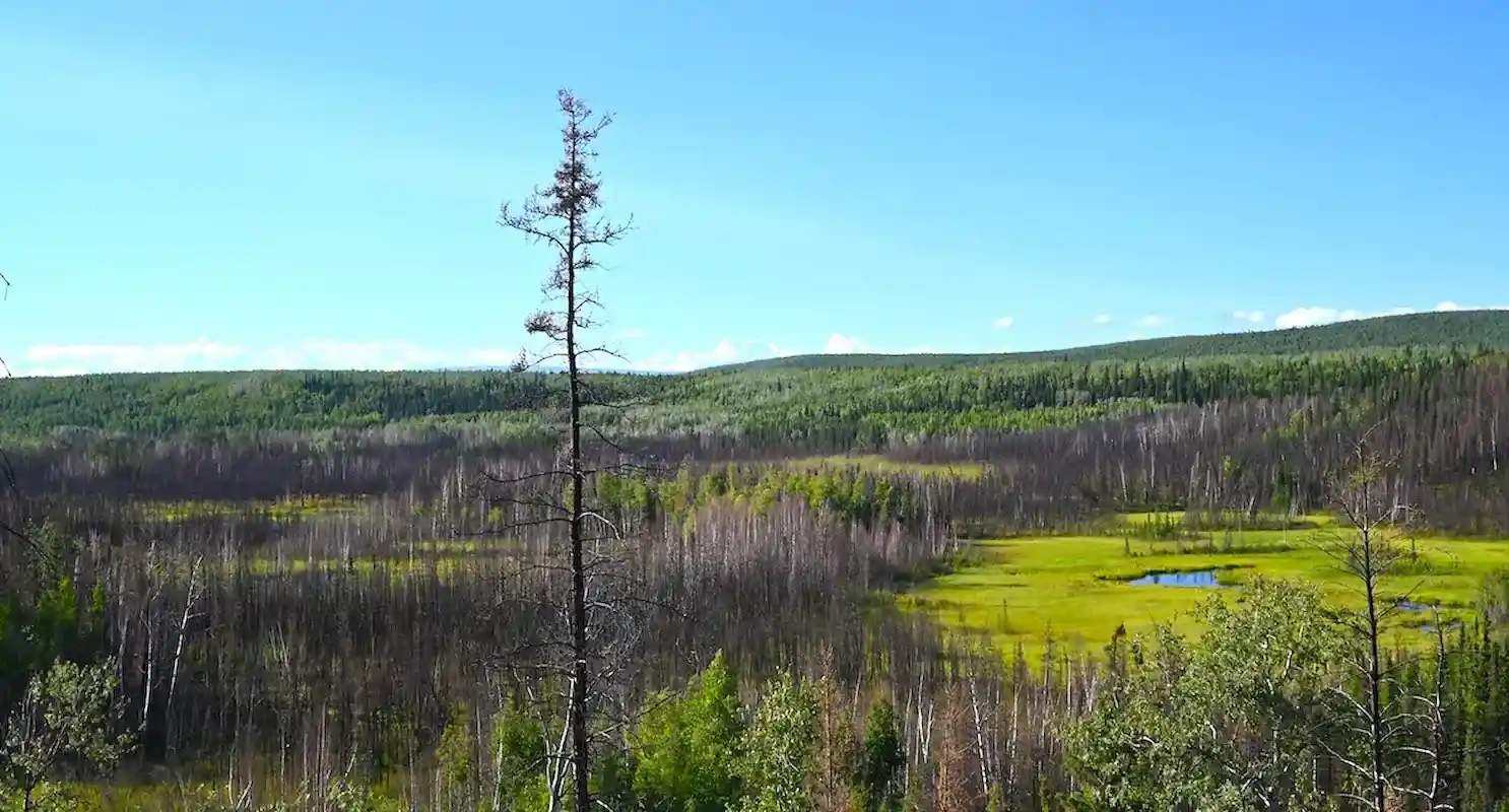 Descubren en Alaska una vivienda de hace 13.800 años que podría ser la más antigua de América 2