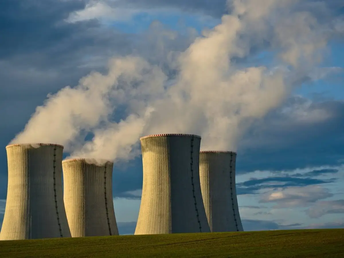 CENTRAL NUCLEAR GRANDE 11zon