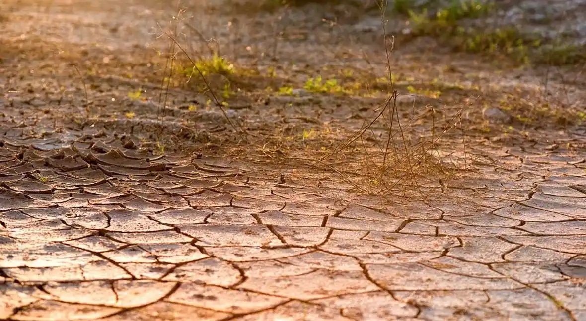 DESERTIFICACION 11zon