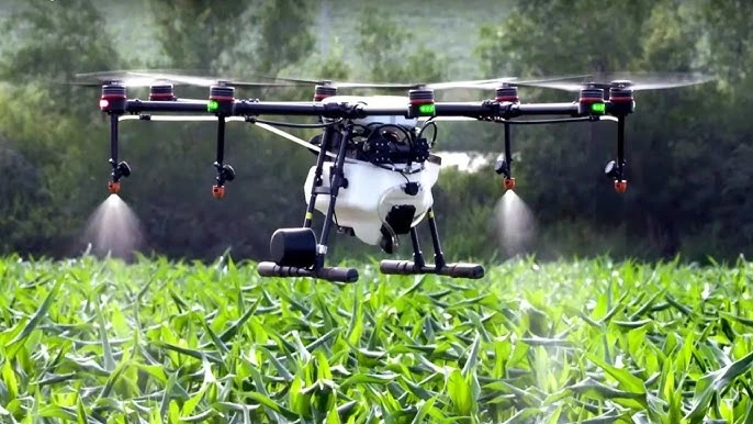 DRON AGRICOLA NORCOREA
