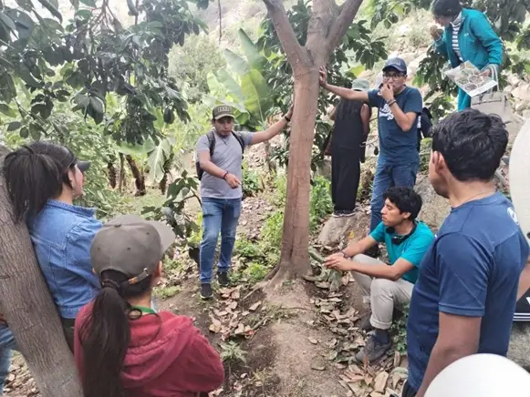 JOVENES ELIGEN CAMPO 11zon