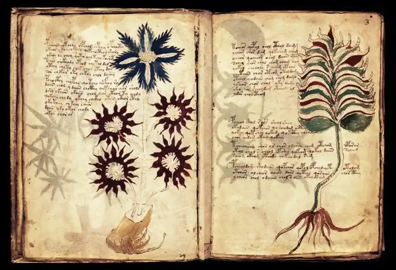 MANUSCRITO 11zon