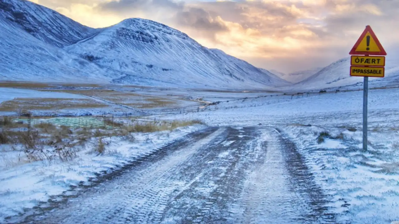 MOSQUITOS ISLANDIA 11zon