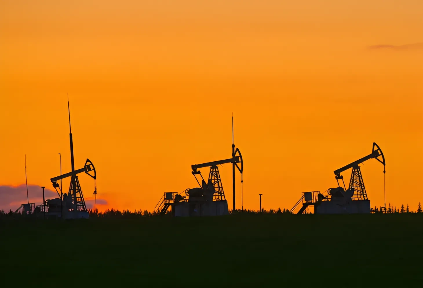 PETROLEO restored