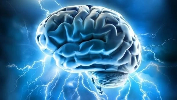 TRADUCCION CEREBRAL